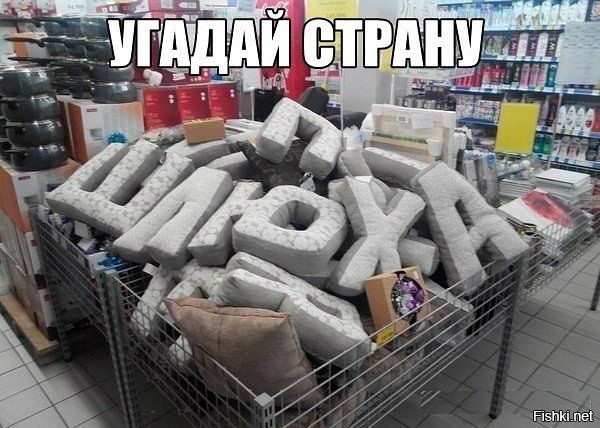 Из солянки