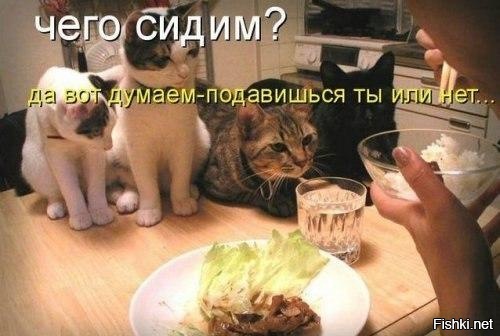 Из солянки