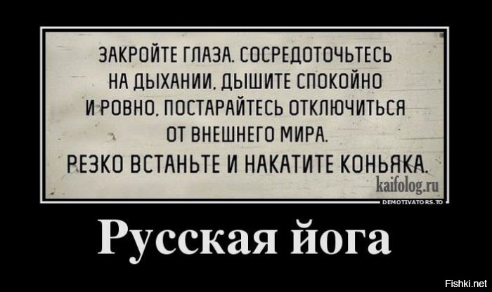 Из солянки
