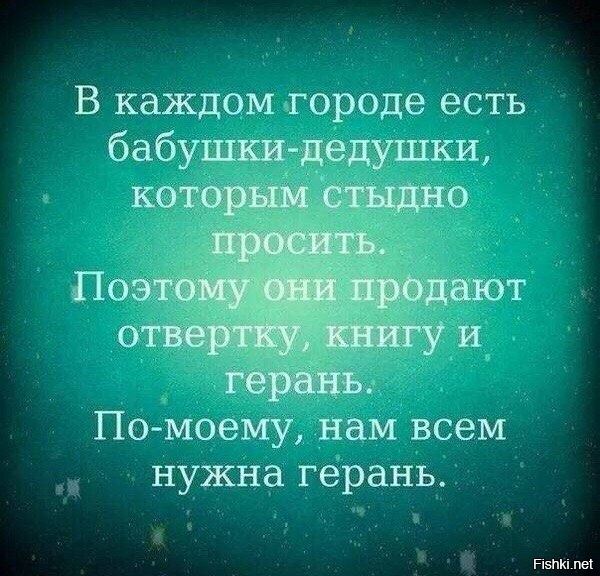 Из солянки