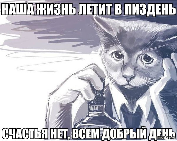 Из солянки