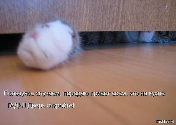 Из солянки