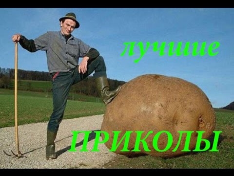 Лучшие приколы ютуба!