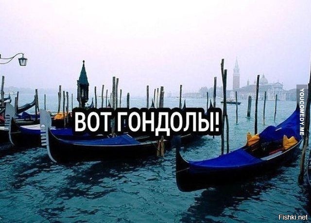 Из солянки