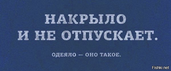 Из солянки