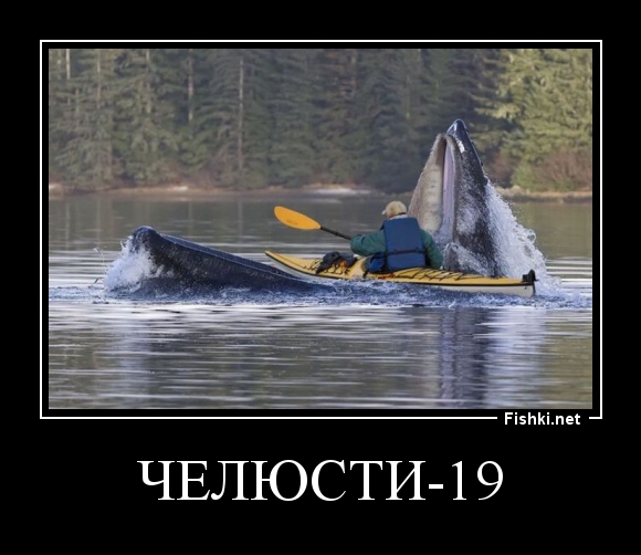 Челюсти-19