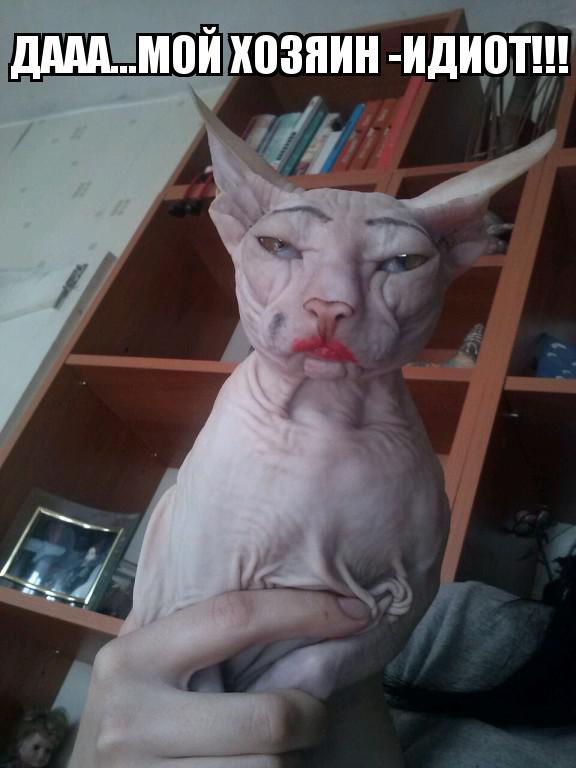 Из солянки