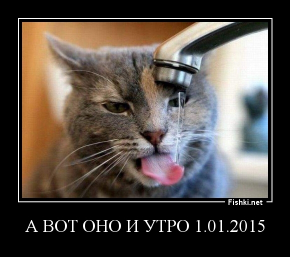 а вот оно и утро 1.01.2015