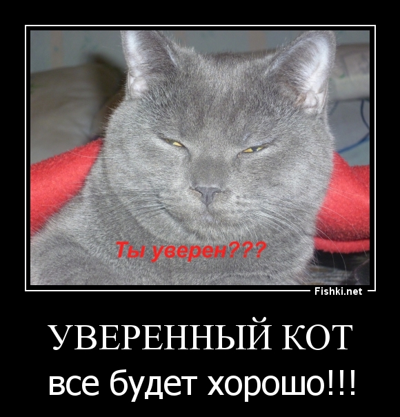 Уверенный Кот
