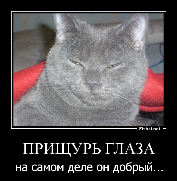 Прищурь глаза