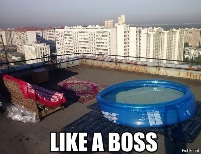 Из солянки