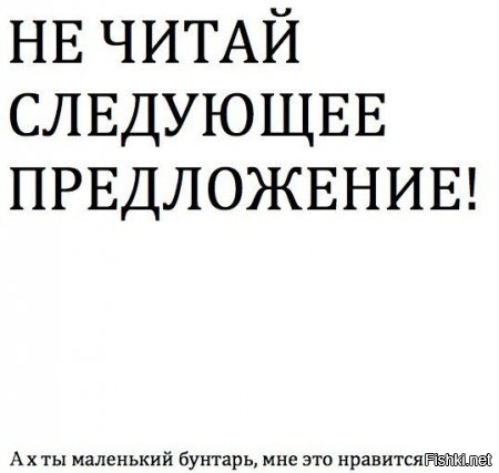 Из солянки