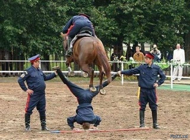 Из солянки