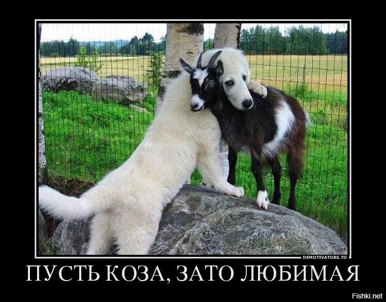 Из солянки