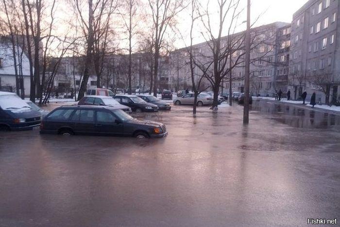 Из солянки