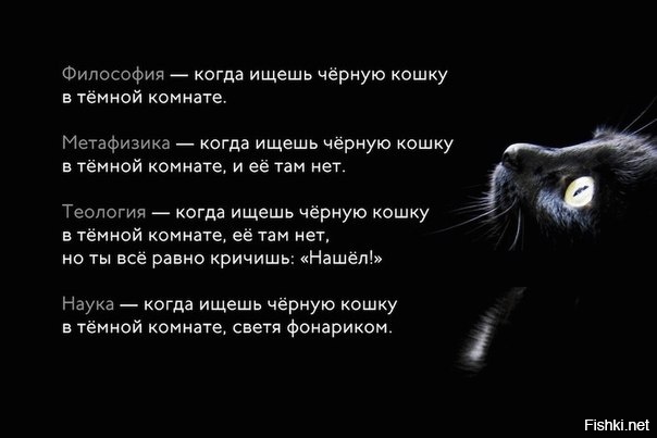 Из солянки