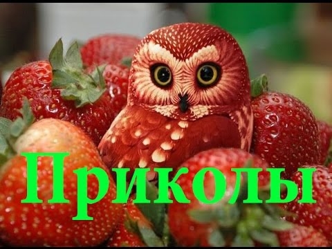 Лучшие приколы ютуба