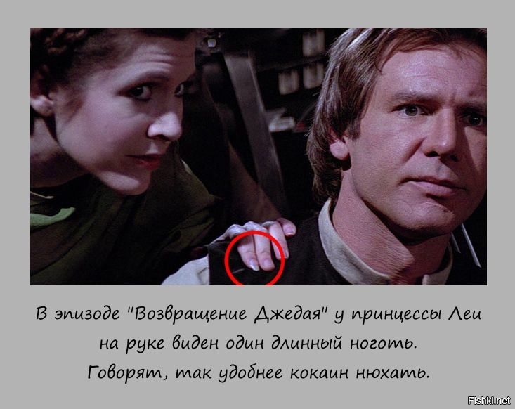 Из солянки