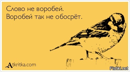 Из солянки