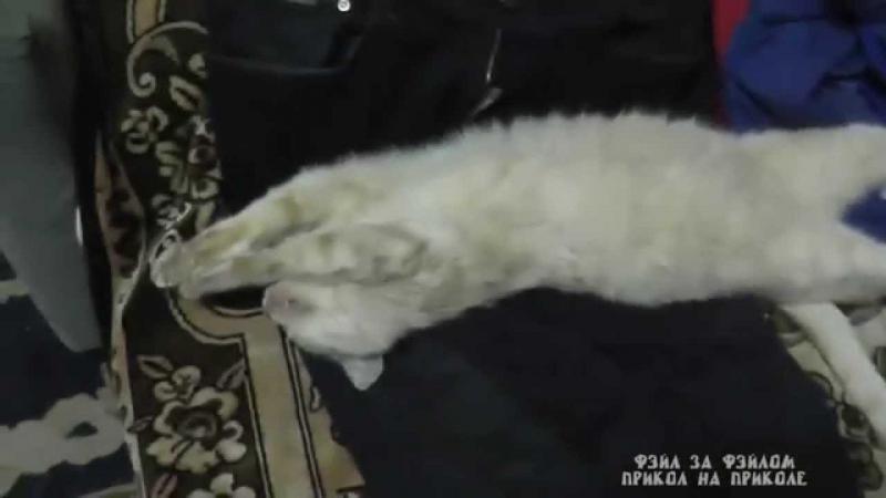 То утро, когда не надо никуда идти
