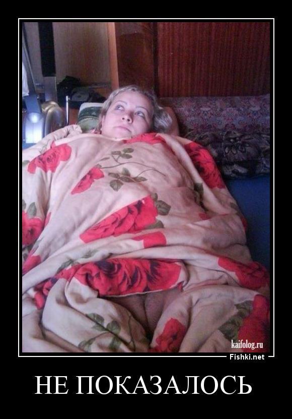 Из солянки