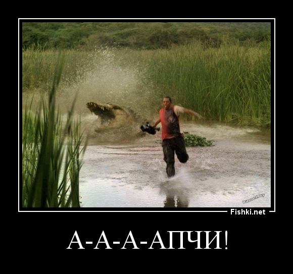 А-А-А-АПЧИ!