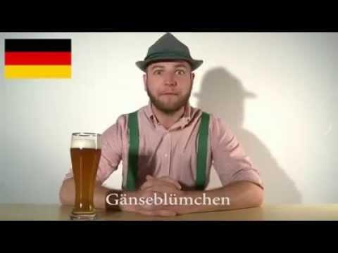 Ласкающий слух немецкий язык