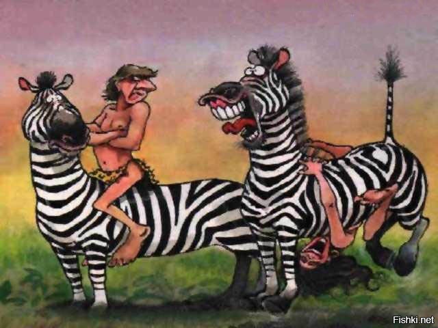Из солянки