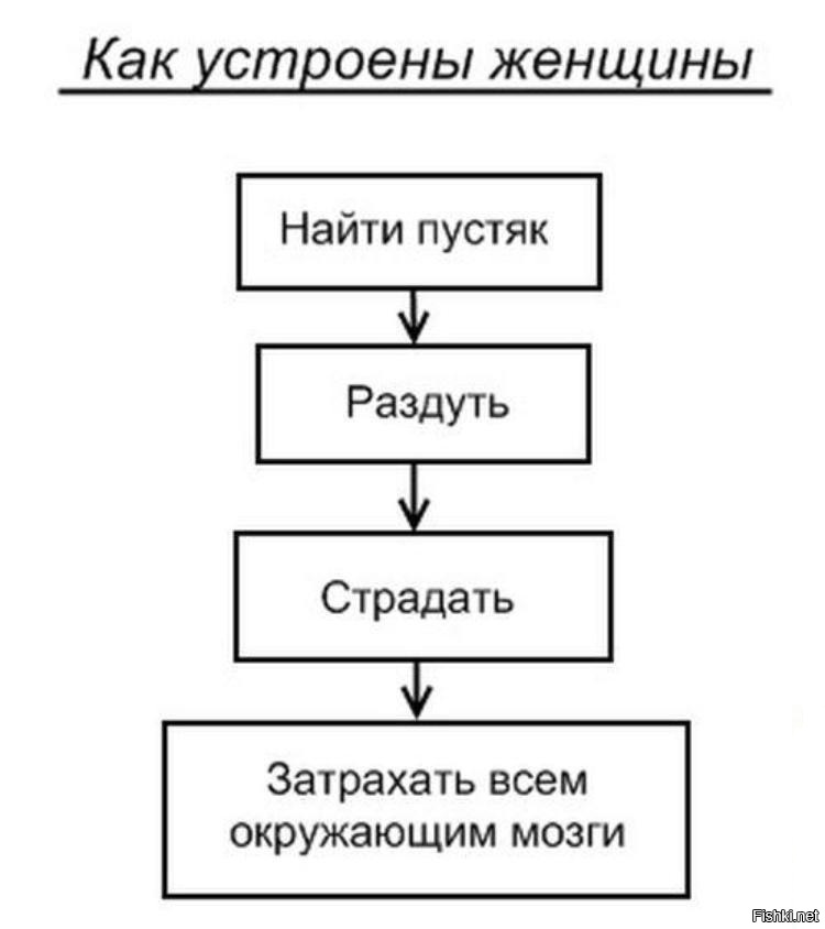 Из солянки