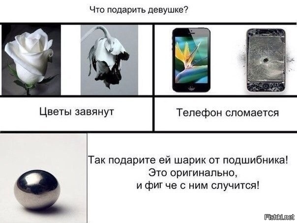 Из солянки