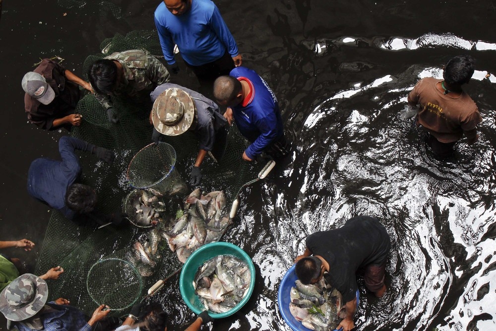 Рыбалка внутри заброшенного универмага Бангкока