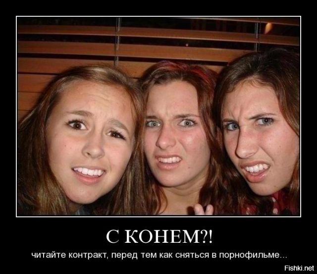 Из солянки