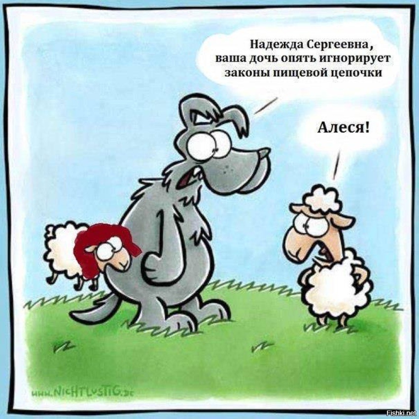 Из солянки