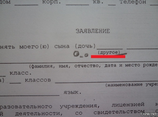 Из солянки
