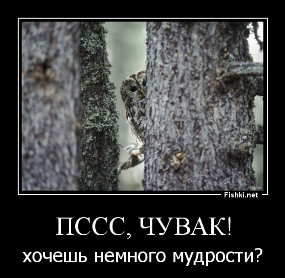 Пссс, чувак!