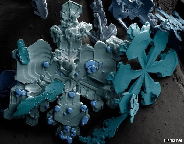 Снежинки под электронным микроскопом