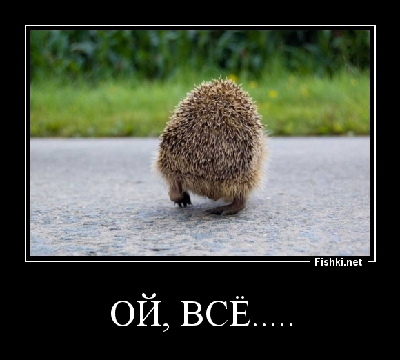 ОЙ, ВСЁ.....