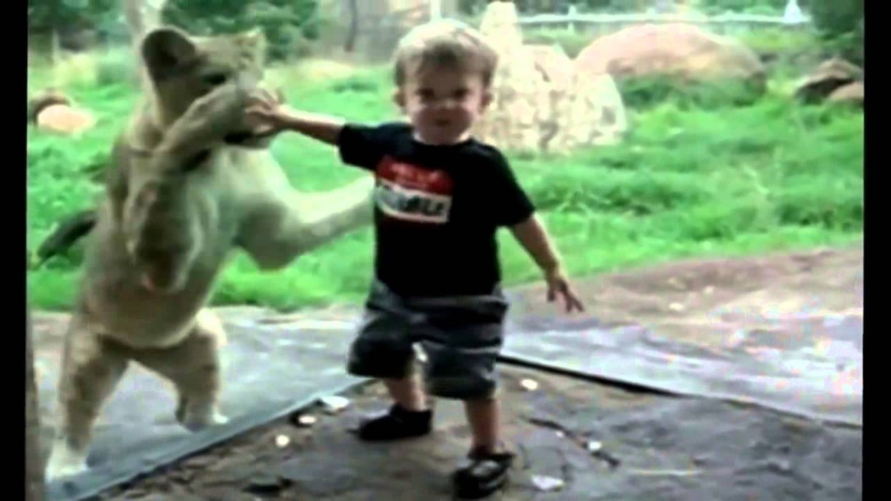 Дети в зоопарке с опасными животными