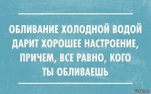 Из солянки
