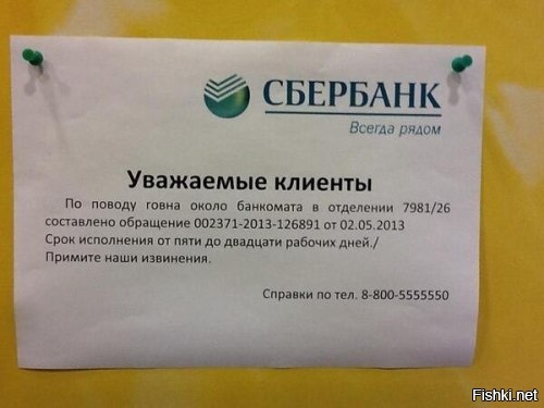 Из солянки
