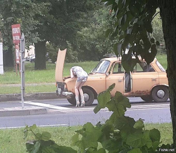 Из солянки