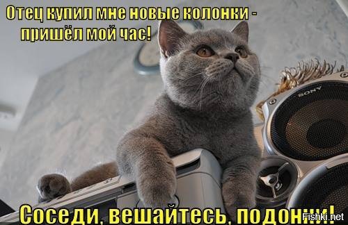 Из солянки