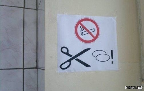 Из солянки