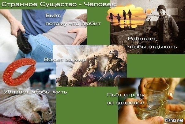 Из солянки