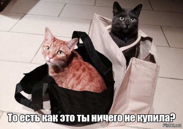Из солянки