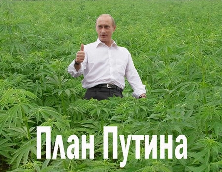 Что курит путин?