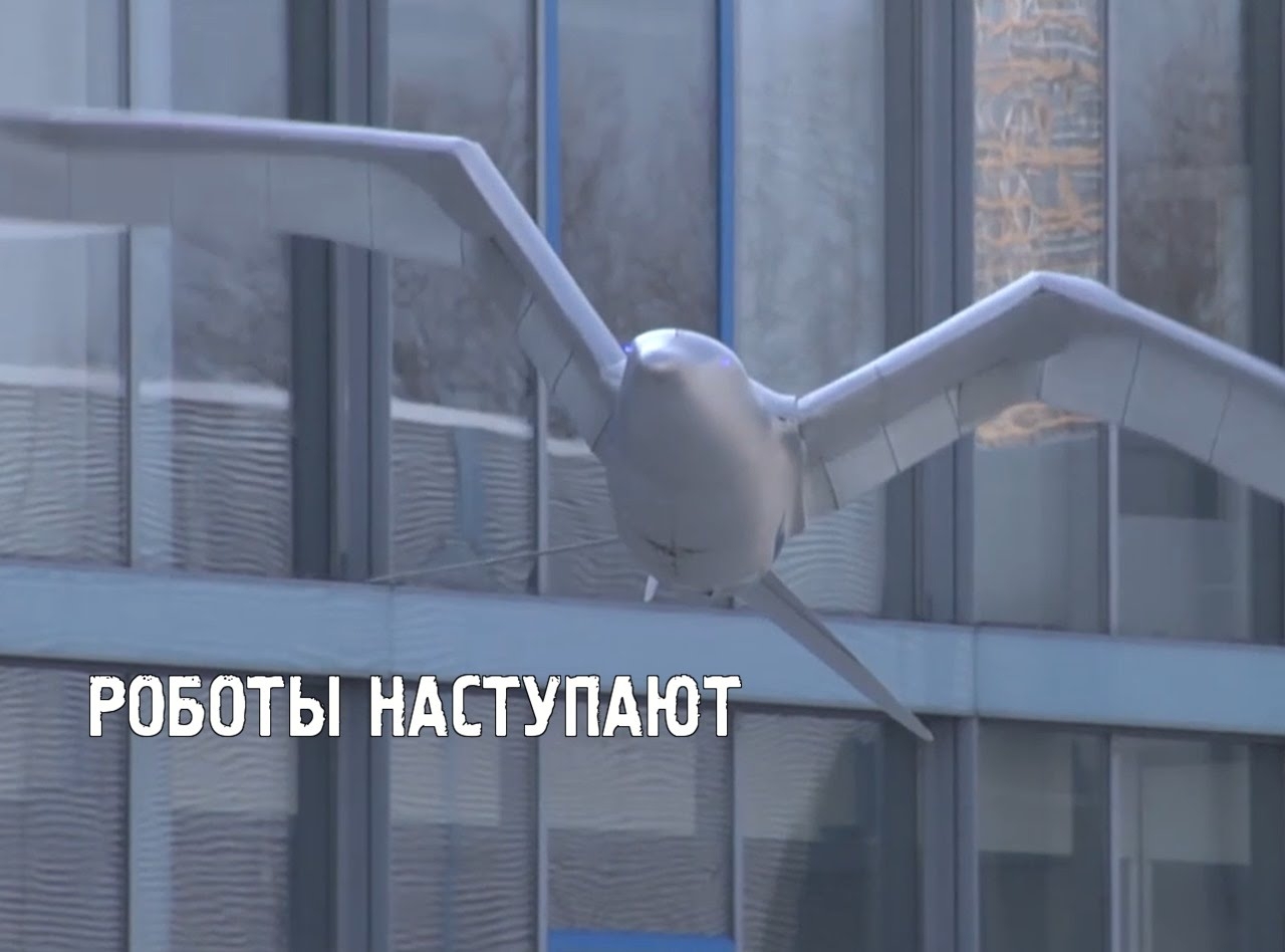 Первая в мире искусственная птица - робот