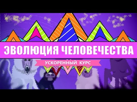 Ускоренный курс: Эволюция человека