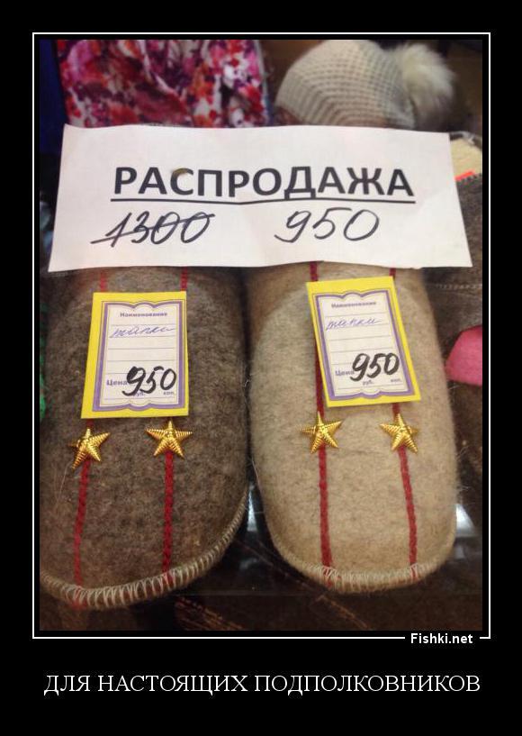 Из солянки