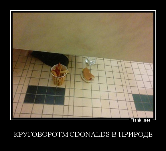 КруговоротM'cDonalds в природе